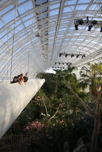 Tropical Conservancy