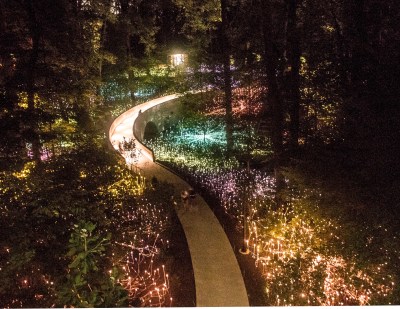 Munro_Lights_Flowers_2_Web