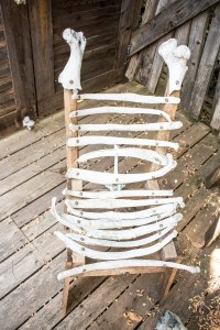 Bone_Chair_Web