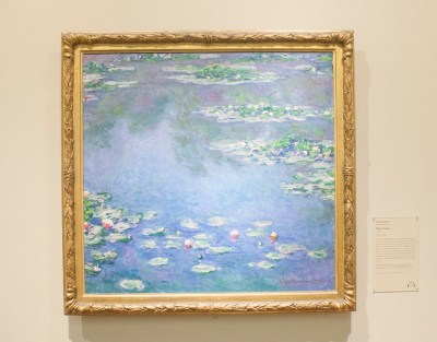 CAI_Monet_Water_Lilly_Web