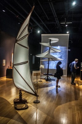 Da_Vinci_Exhibit_Wings_Web