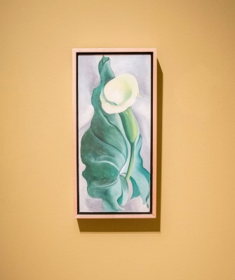 OKCMA_Okeefe_Calla_Lily_Web
