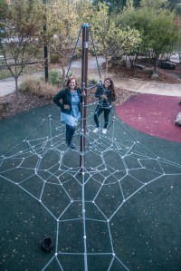 Spider_Web_Constance_Alex_Web