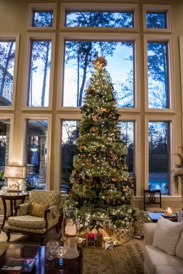 Christmas_Tree_2_Web