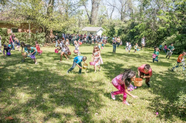 Egg_Hunt_1_Web