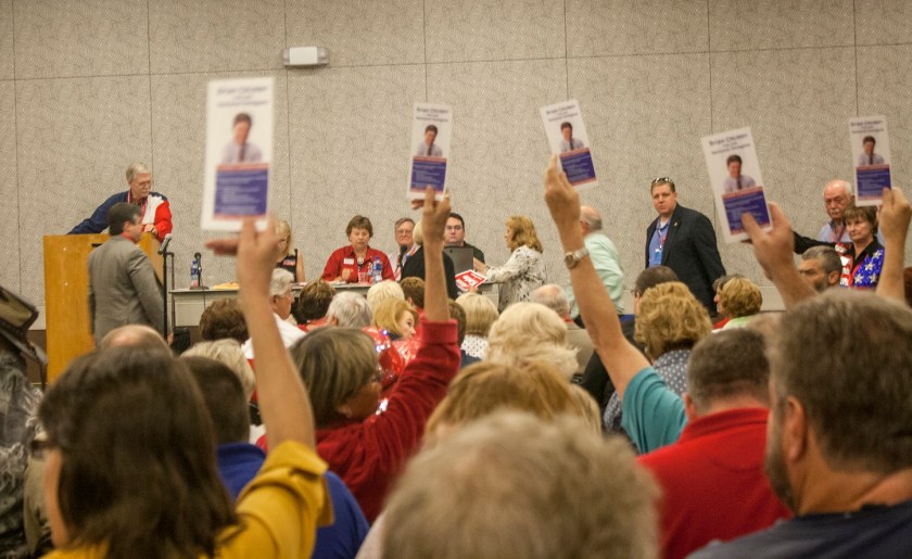 CD_Caucus_Campaigning_Web