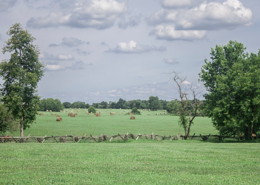 Camp_Nelson_Field_Hay_Web