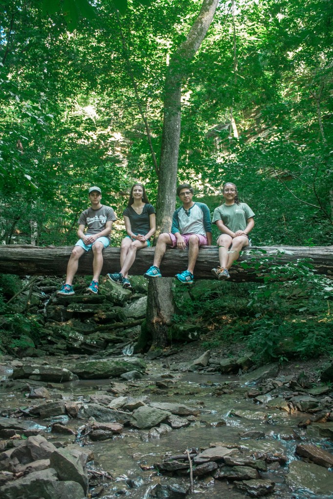 Tree Bridge, Devil's Den State Park, LEAP Ambassadors