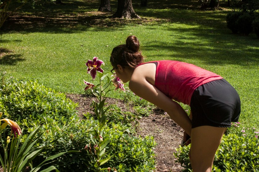 Garvin_Gardens_Alex_Flower_Web