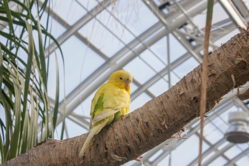 Myriad Botanical Gardens, OK City, LEAP Center, SHSU
