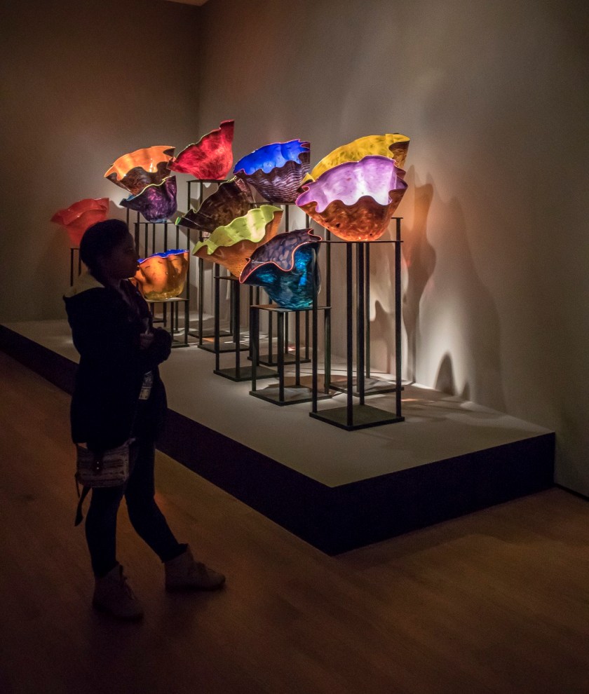 Dale Chihuly, LEAP Center, SHSU, OK Museum of Art