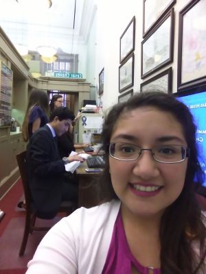 Sam Houston Austin Internship Program, SHAIP, Austin Interns, Texas State Capitol, SHSU, LEAP Center, Center for Law Engagement And Politics, Armando Martinez, Mando Martinez