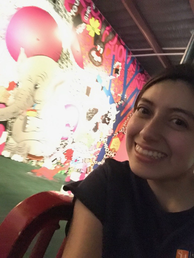 Enrico Cerrachio, Sam Houston Sculpture, LEAP Ambassadors, Center for Law Engagement And Politics, LEAP Center, Hermann Park, Trenton Doyle Hancock, Train