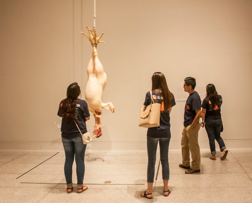 Museum of Fine Arts Houston, MFAH, SHSU, LEAP Center, Center for Law Engagement And Politics, LEAP Center, LEAP Ambassadors, Education, Ron Mueck