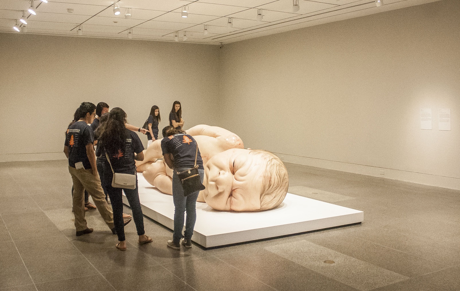 Museum of Fine Arts Houston, MFAH, SHSU, LEAP Center, Center for Law Engagement And Politics, LEAP Center, LEAP Ambassadors, Education, Ron Mueck