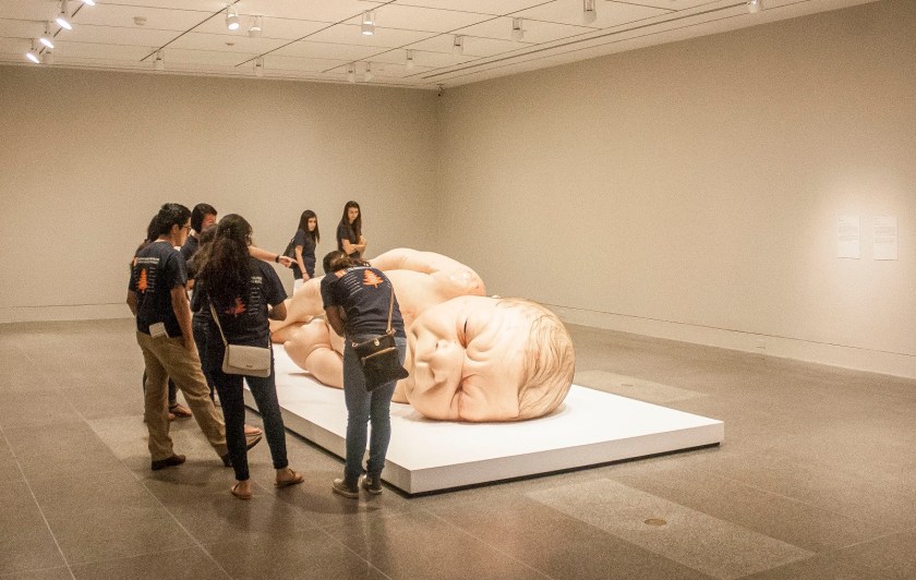 Museum of Fine Arts Houston, MFAH, SHSU, LEAP Center, Center for Law Engagement And Politics, LEAP Center, LEAP Ambassadors, Education, Ron Mueck