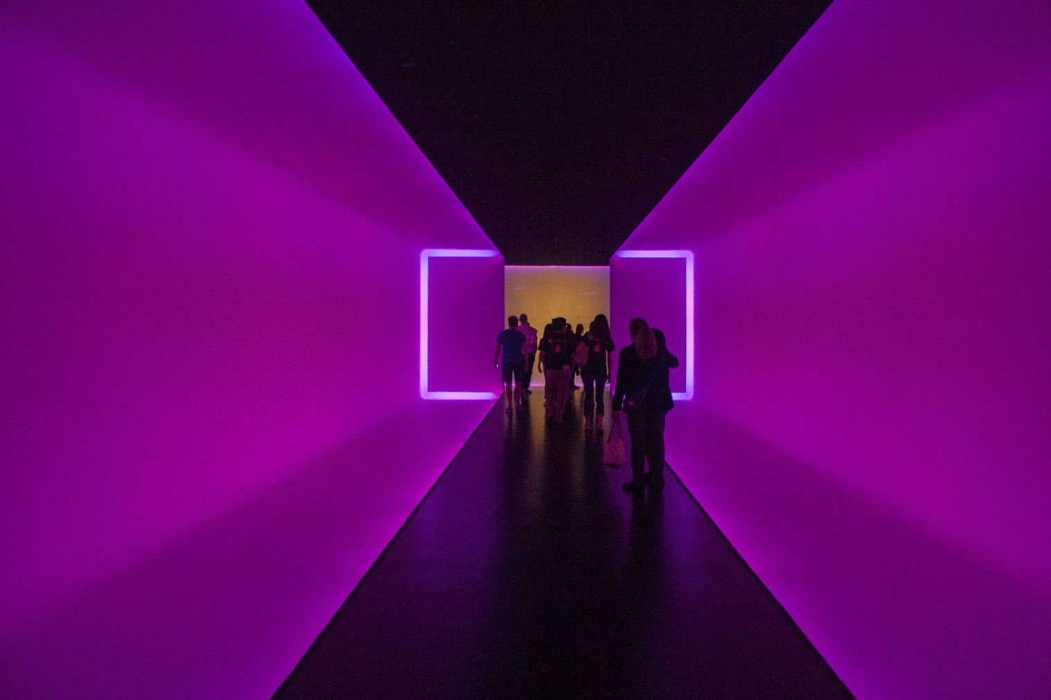 Museum of Fine Arts Houston, MFAH, SHSU, LEAP Center, Center for Law Engagement And Politics, LEAP Center, LEAP Ambassadors, Education, James Turrell