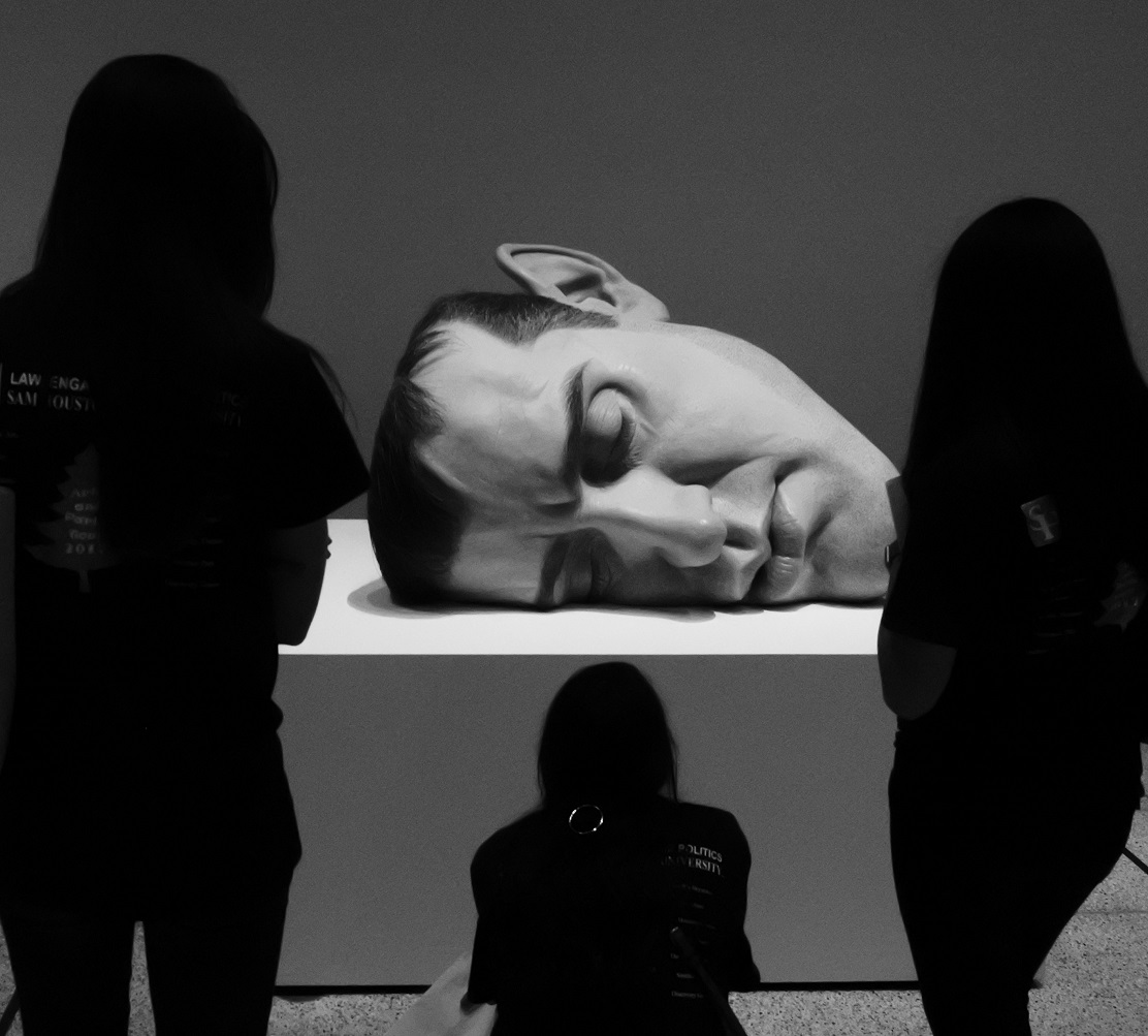 Museum of Fine Arts Houston, MFAH, SHSU, LEAP Center, Center for Law Engagement And Politics, LEAP Center, LEAP Ambassadors, Education, Ron Mueck