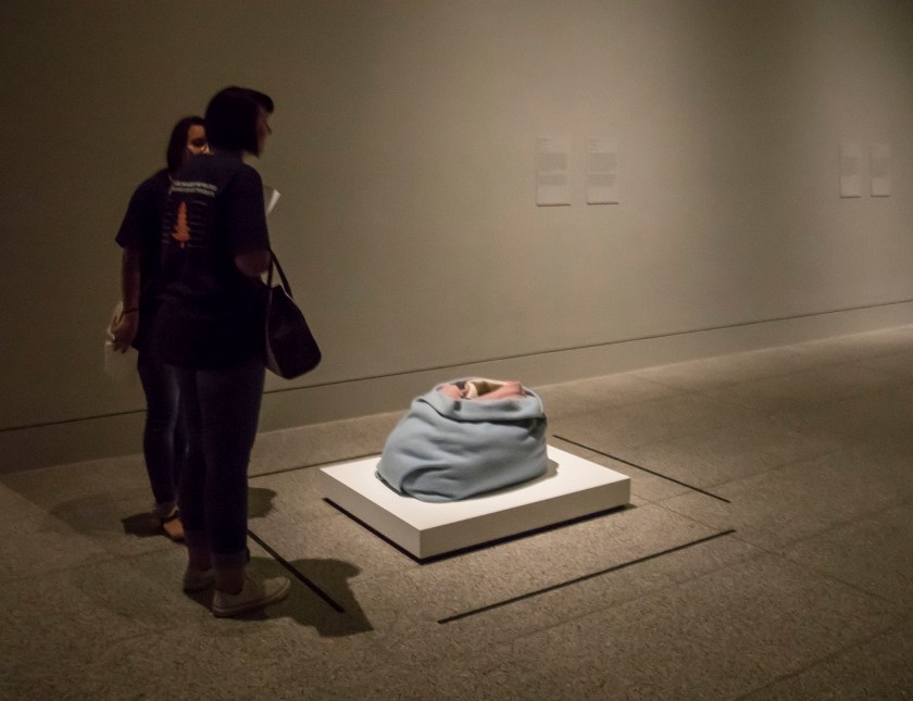 Museum of Fine Arts Houston, MFAH, SHSU, LEAP Center, Center for Law Engagement And Politics, LEAP Center, LEAP Ambassadors, Education, Ron Mueck