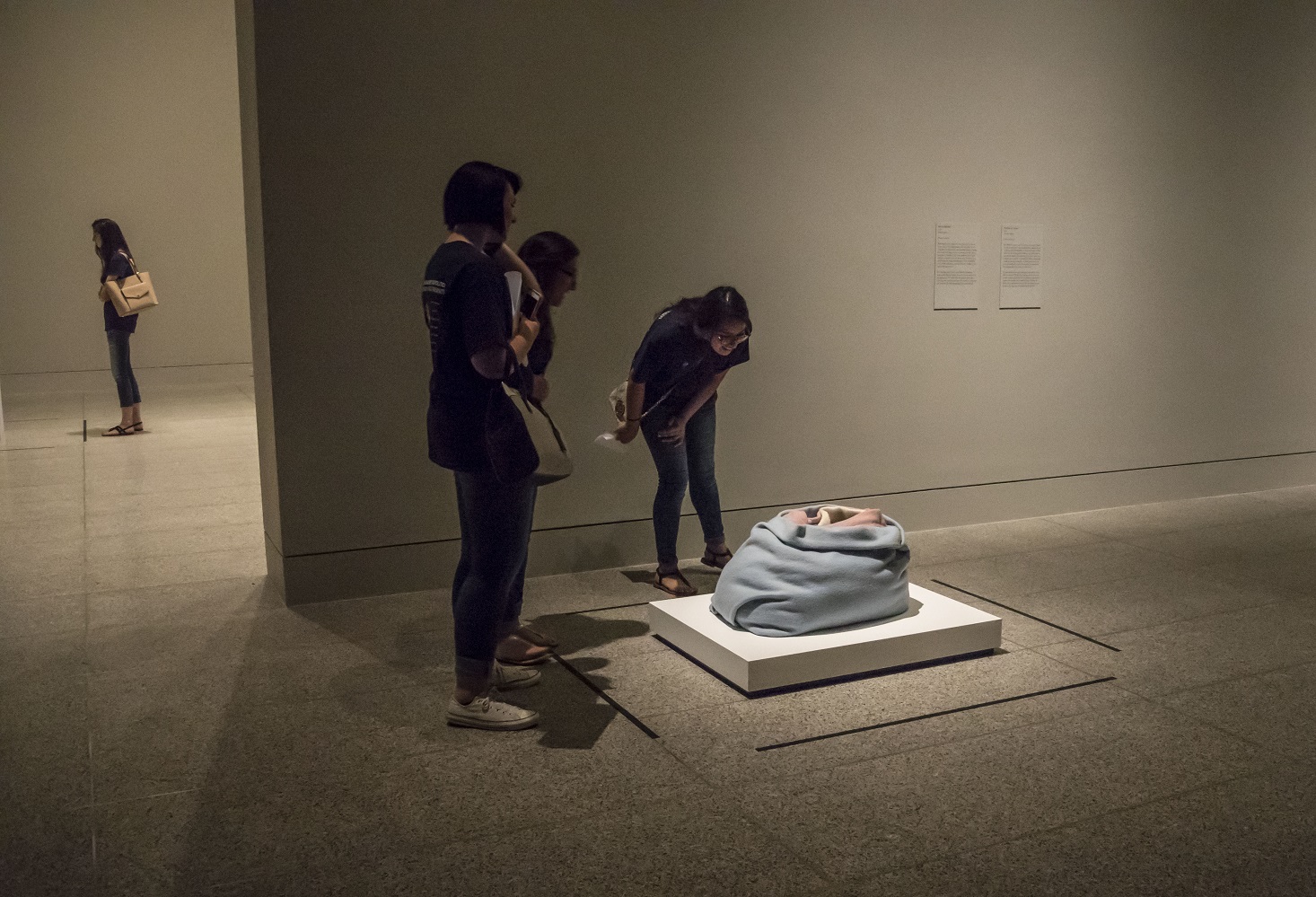 Museum of Fine Arts Houston, MFAH, SHSU, LEAP Center, Center for Law Engagement And Politics, LEAP Center, LEAP Ambassadors, Education, Ron Mueck