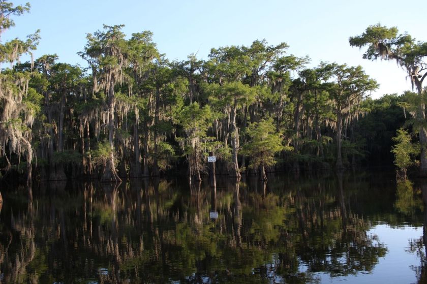Caddo Lake, Mark Burns, SHSU, LEAP Center, Photography, Documentary, Caddo Lake