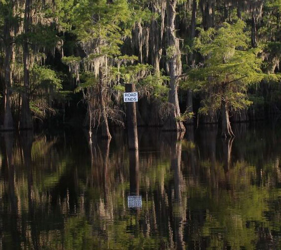 Caddo Lake, Mark Burns, SHSU, LEAP Center, Photography, Documentary, Caddo Lake