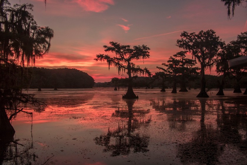 Caddo Lake, Documentary, Mark Burns, SHSU, LEAP Center, LEAP Ambassadors, Photography