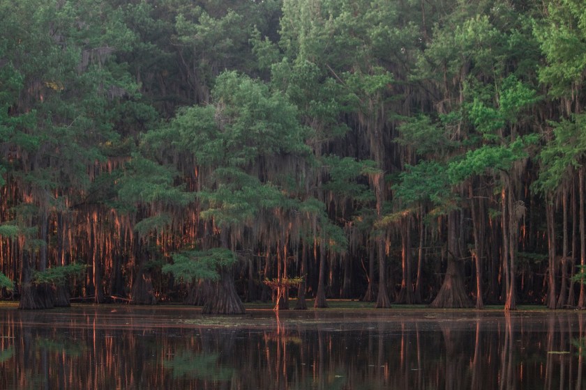 Mark Burns, Documentary, SHSU, LEAP Center, LEAP Ambassadors, SHSU, Photography, Caddo Lake