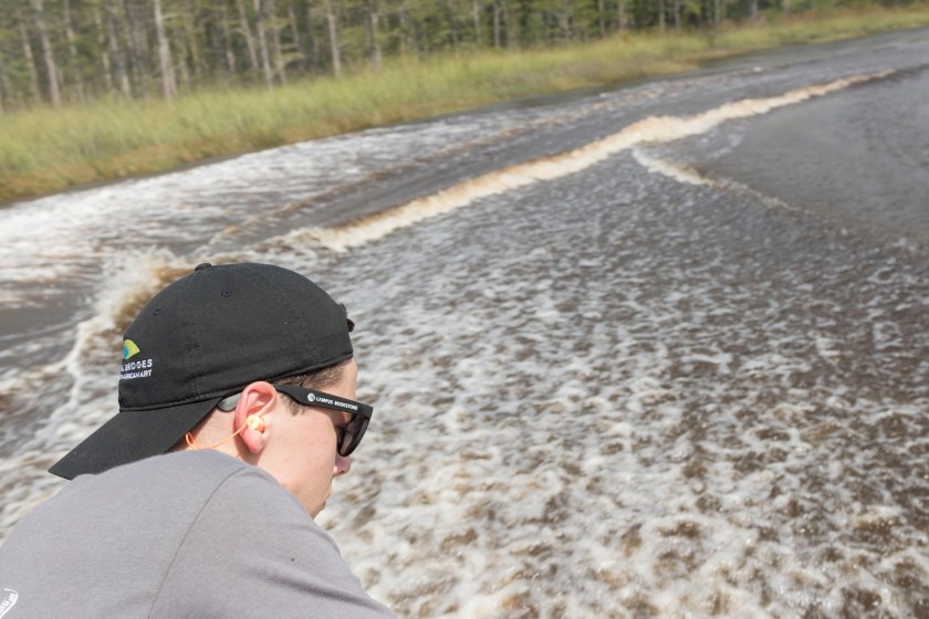 Surprisingly, alligators really seem to enjoy marshmallows. When we asked who found this out, he said that some poor guy must have dropped his snack and the gators tore it up. That poor fellow’s sacrifice was surely a noble one, and now our tour guide had something to lure the little reptile to the side of our boat for a better photo-op.