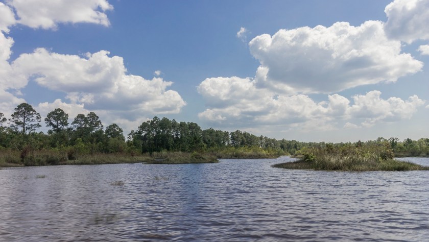 LEAP Ambassadors, LEAP Center, SHSU, Moss Point MS, Gator Ranch