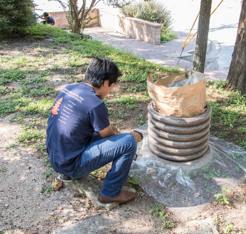 Main Street Huntsville, LEAP Center, SHSU, Rather Park