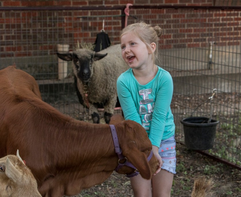 LEAP Center, LEAP Ambassadors, SHSU, Walker County Fair on the Square