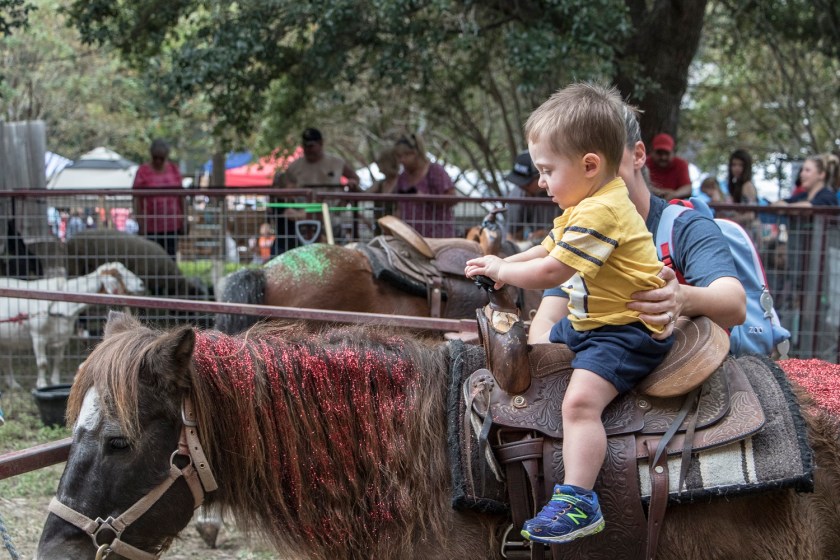 LEAP Center, LEAP Ambassadors, SHSU, Walker County Fair on the Square