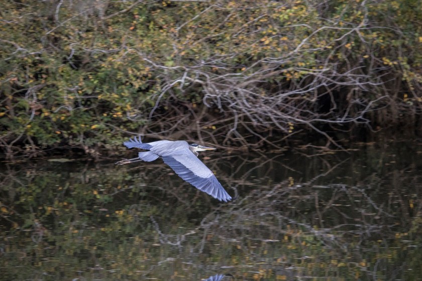 SHSU, LEAP Ambassadors, LEAP Center, Caddo Lake