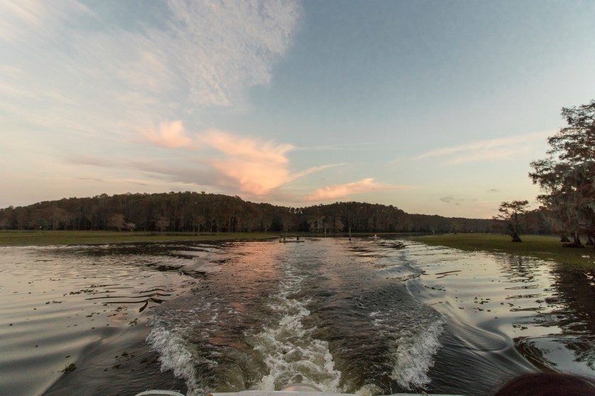 SHSU, LEAP Ambassadors, LEAP Center, Caddo Lake