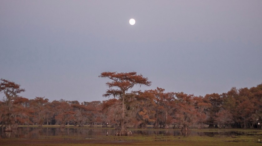 SHSU, LEAP Ambassadors, LEAP Center, Caddo Lake