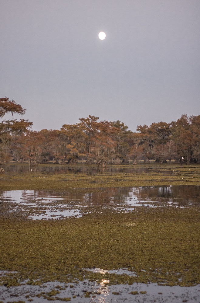 SHSU, LEAP Ambassadors, LEAP Center, Caddo Lake, Mark Burns