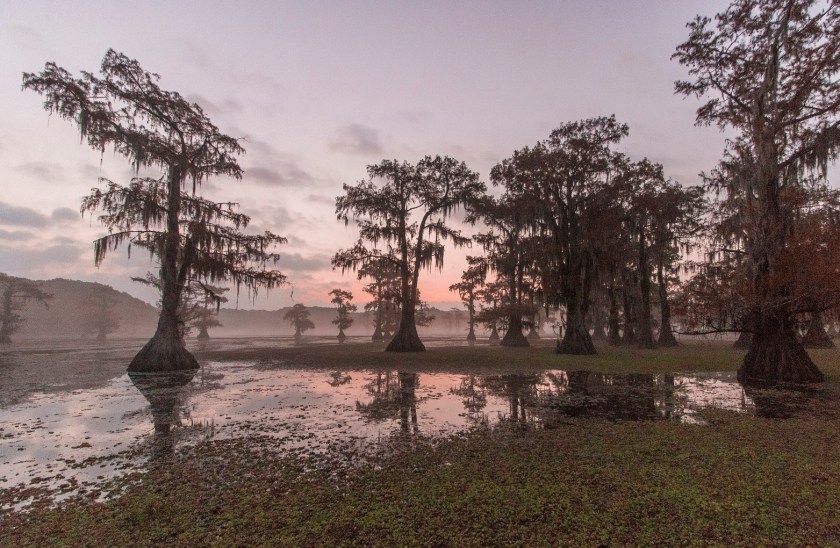 SHSU, LEAP Ambassadors, LEAP Center, Caddo Lake, Mark Burns