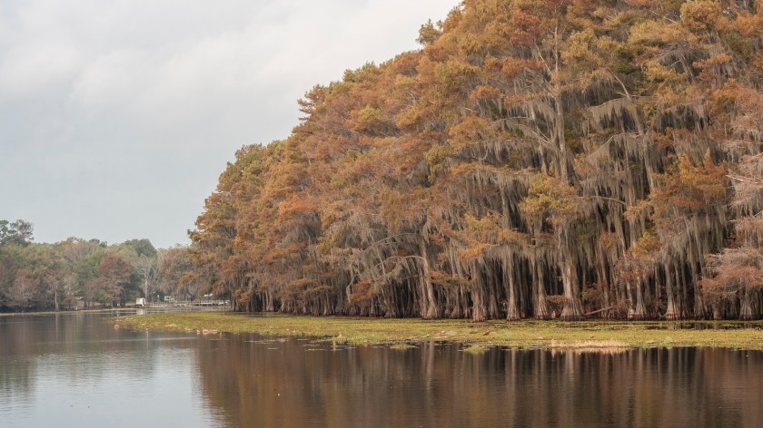 SHSU, LEAP Ambassadors, LEAP Center, Caddo Lake, Mark Burns