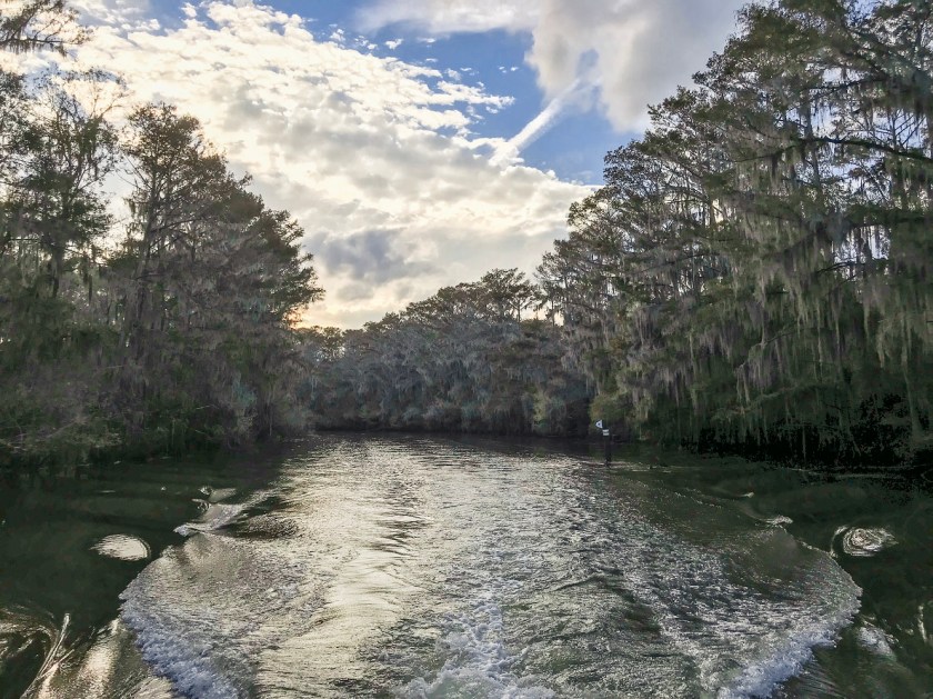 SHSU, LEAP Center, LEAP Ambassadors, Caddo Lake, Aaron, Mystique Tours