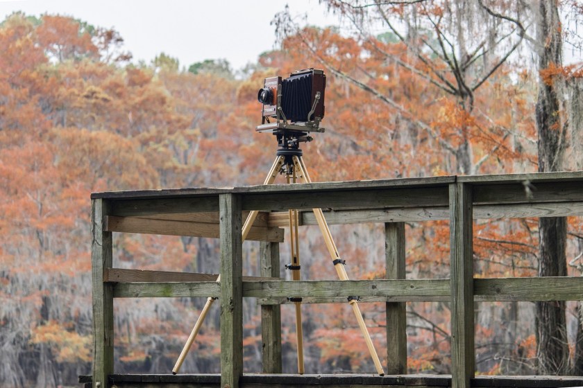 SHSU, LEAP Center, LEAP Ambassadors, Caddo Lake, Mark Burns, 8 X 10 Camera
