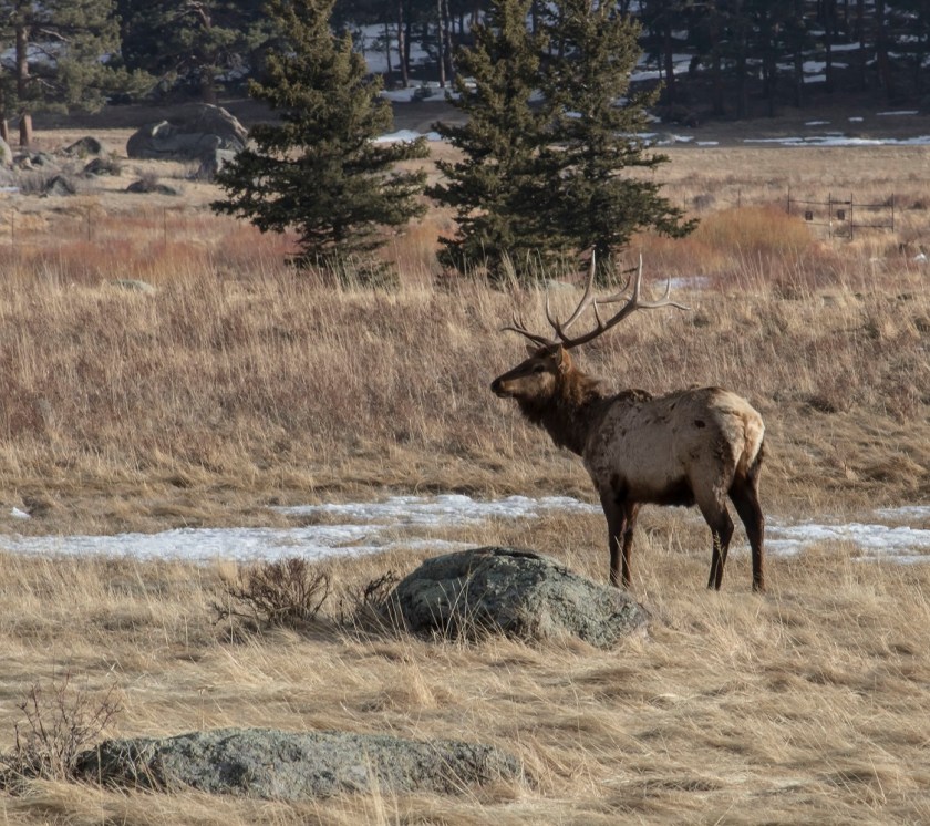 SHSU, LEAP Center, LEAP Ambassadors, Rocky Mountain National Park