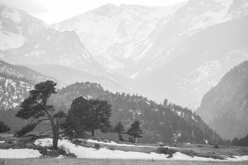 SHSU, LEAP Center, LEAP Ambassadors, Rocky Mountain National Park