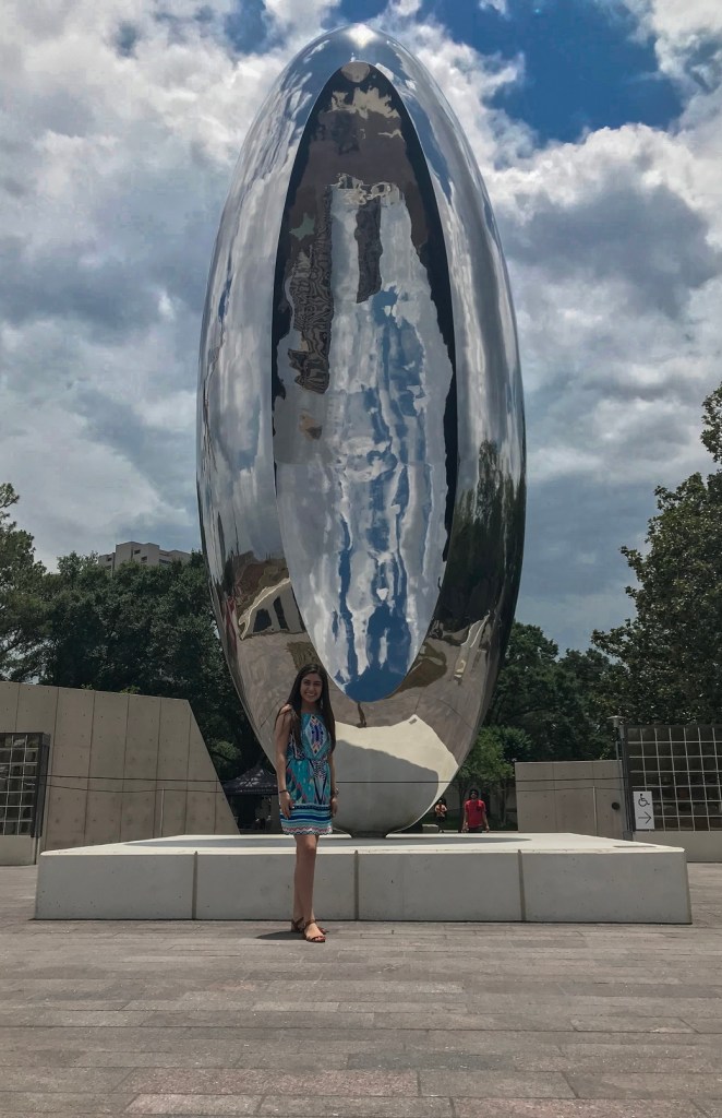 SHSU, LEAP Center, LEAP Ambassadors, Art, Anish Kapoor, Cloud Column, Houston
