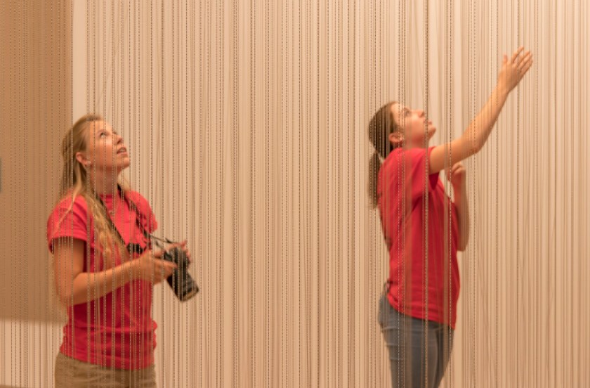 SHSU, LEAP Center, LEAP Ambassadors, Phoenix Art Museum, Valeska Soares