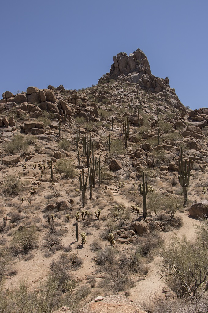 SHSU, LEAP Center, LEAP Ambassadors, Phoenix, Pinnacle Park, Hikes