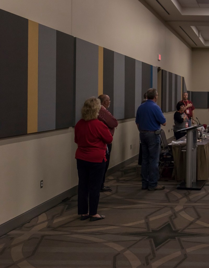 GOP, Texas Republican Convention 2018, Walker County, Linda McKenzie