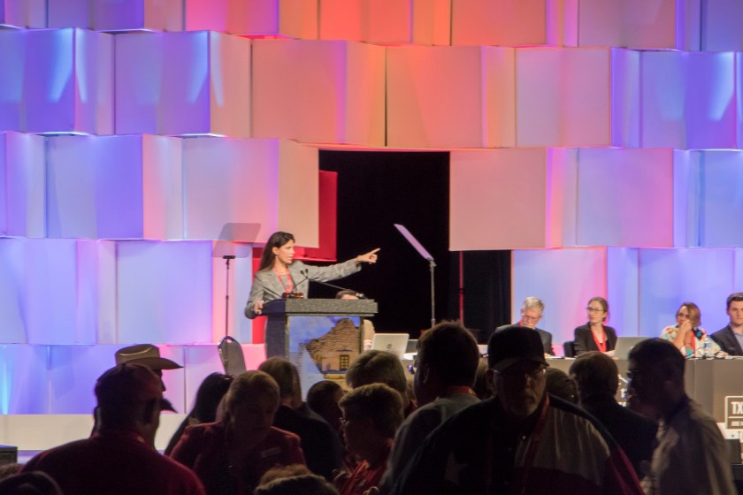 TX GOP, Texas Republican Convention 2018, VIce Chair Amy Clark