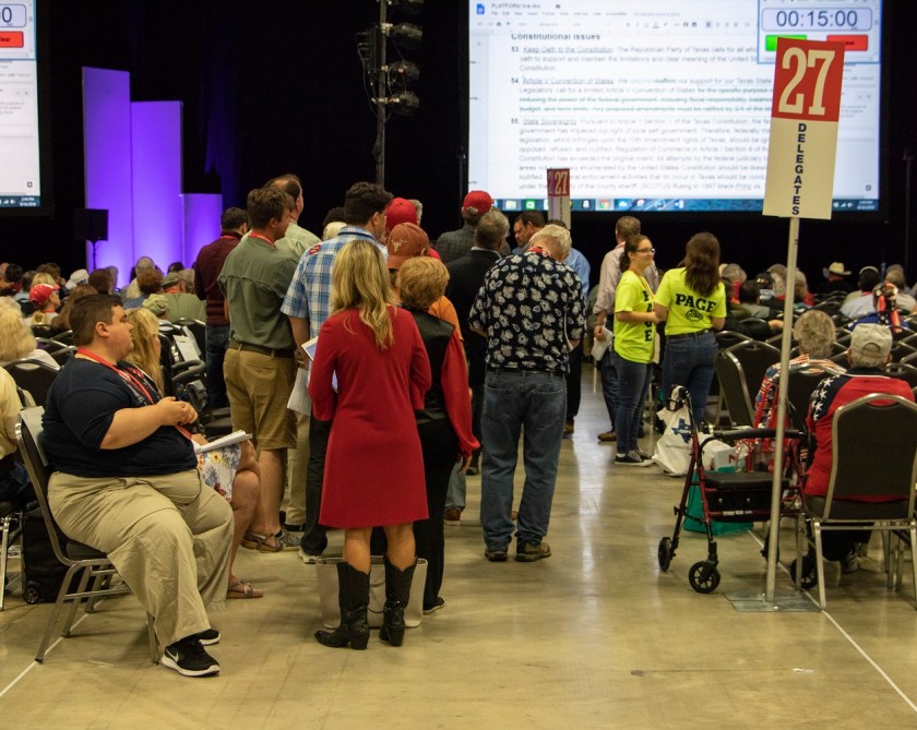 Texas Republican Convention 2018, Platform Debate