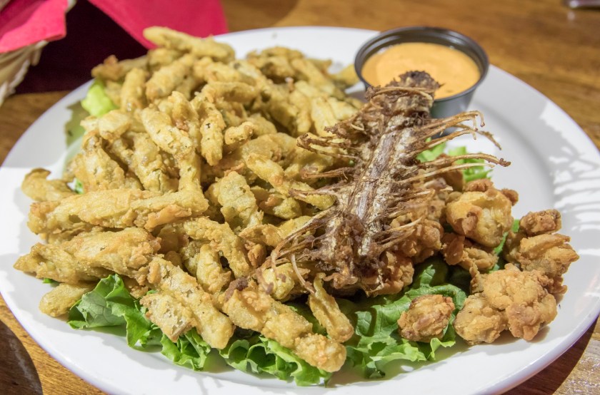 SHSU, LEAP Center, LEAP Ambassadors, Rustlers Rooste